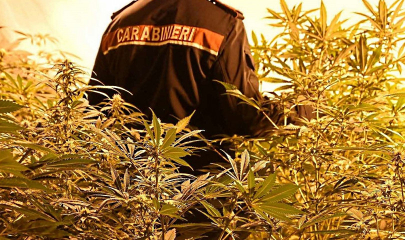 Operazione antidroga a Quargnento e Pietra Marazzi